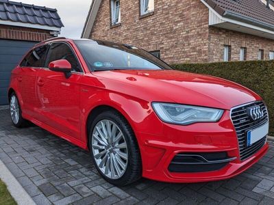 gebraucht Audi A3 Sportback e-tron 