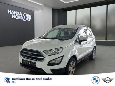 Gebraucht Ford Ecosport Cool & Connect 101 PS (74 kW) 2019 Weiss / frozen white SUV