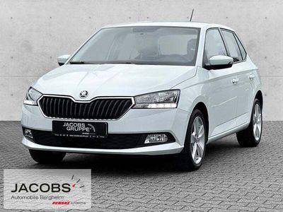 gebraucht Skoda Fabia Cool Plus