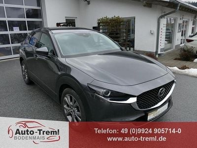 Gebraucht Mazda CX-30 Selection 179 PS (131 kW) 2020 Grau SUV