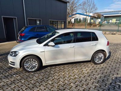 Brugt VW Golf VII Cup 150 HK (110 kW) 2014 Hvid Sedan