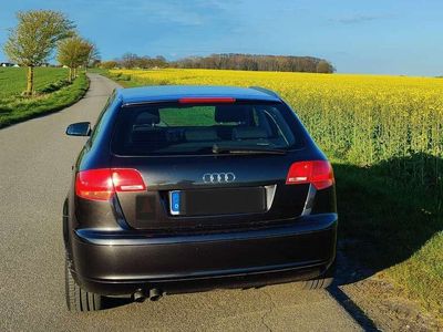 gebraucht Audi A3 Sportback A3 2.0 TDI DPF Ambiente