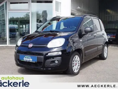 Gebraucht Fiat Panda Easy 69 PS (50 kW) 2020 Schwarz Kleinwagen