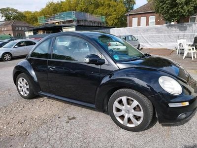 VW Beetle