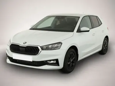 Gebraucht Skoda Fabia