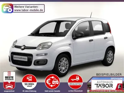 Brugt Fiat Panda