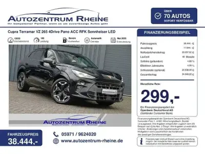 Gebraucht Cupra Terramar
