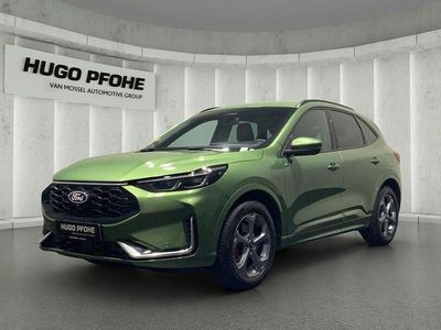 Gebraucht Ford Kuga ST-Line X 186 PS (136 kW) 2024 Bursting green SUV