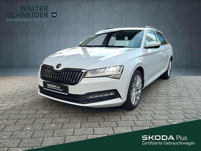 Gebraucht Skoda Superb Ambition 150 PS (110 kW) 2024 Moonweiss metallic Kombi