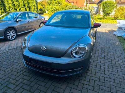 VW Beetle