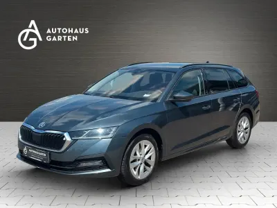 Gebraucht Skoda Octavia 150 PS (110 kW) 2020 Grau Kombi