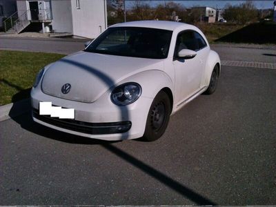 VW Beetle