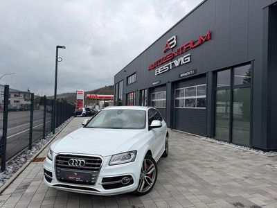 Gebraucht Audi SQ5 Competition 326 PS (239 kW) 2017 Weiß SUV