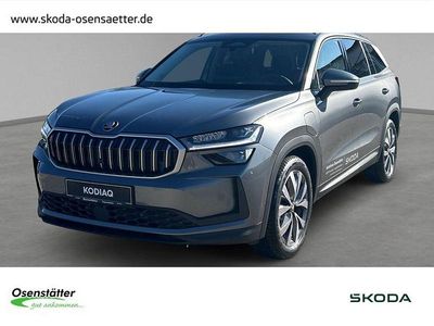 Neu Skoda Kodiaq Selection 204 PS (150 kW) 2026 Grau SUV
