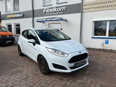 Gebraucht Ford Fiesta Trend 60 PS (44 kW) 2017 Weiß Kleinwagen