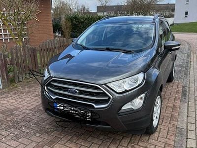 Second-hand Ford Ecosport Trend 125 CP (91 kW) 2018 Gri SUV