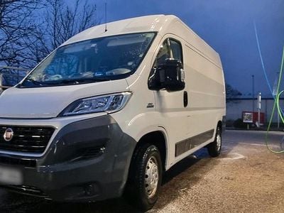 Weiß Gebraucht 2016 Fiat Ducato Van | 8.500 € (Fairer Preis)
