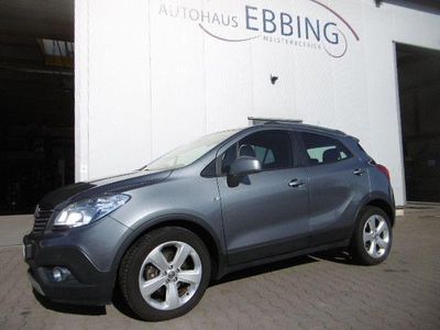 Gebraucht Opel Mokka Edition 116 PS (85 kW) 2014 Grau SUV