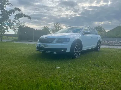 Gebraucht Skoda Octavia Scout Scout 4x4 184 PS (135 kW) 2014 Weiß Kombi