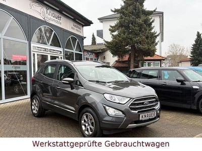 Gebraucht Ford Ecosport Titanium 125 PS (91 kW) 2019 Grau SUV