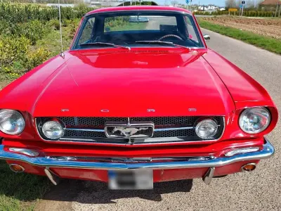Gebraucht Ford Mustang GT 202 PS (148 kW) 1965 Rot Coupé