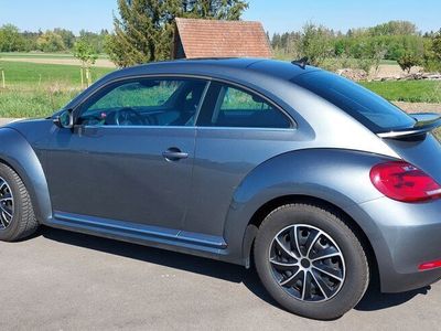 VW Beetle