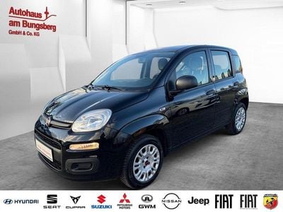 Gebraucht Fiat Panda Easy 69 PS (50 kW) 2020 Schwarz Kleinwagen