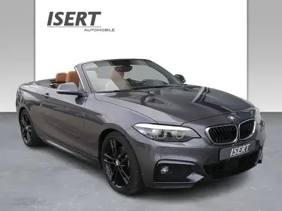Używany BMW 230 M Sport 252 KM (185 kW) 2019 Szary Kabriolet