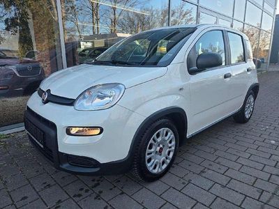 Gebraucht Fiat Panda 69 PS (50 kW) 2023 Bianco gelato Kleinwagen