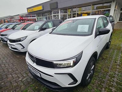 Gebraucht Opel Grandland X Basis 181 PS (133 kW) 2022 Jade weiss/arktis weiss SUV