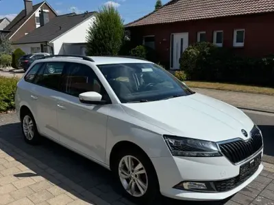 Gebraucht Skoda Fabia Drive 110 PS (80 kW) 2020 Weiß Kleinwagen
