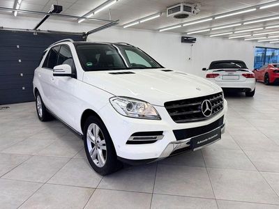 Mercedes ML250