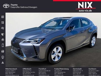 Gebraucht Lexus UX 300e Executive Line 150 kW (204 PS) 2021 Grau SUV