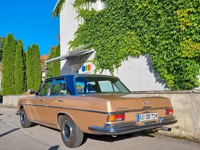 Brugt Mercedes 280 SE 160 HK (117 kW) 1971 Guld Sedan