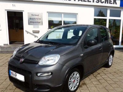 gebraucht Fiat Panda MY22 Hybrid