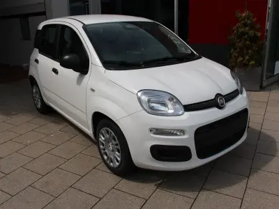 Neu Fiat Panda Icon 65 PS (47 kW) 2026 Weiß Kleinwagen