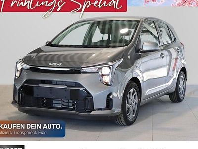Neu Kia Picanto Vision 68 PS (50 kW) 2026 Grau Kleinwagen