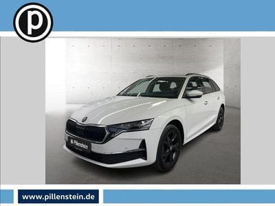 Gebraucht Skoda Octavia Drive 150 PS (110 kW) 2024 Weiß Kombi