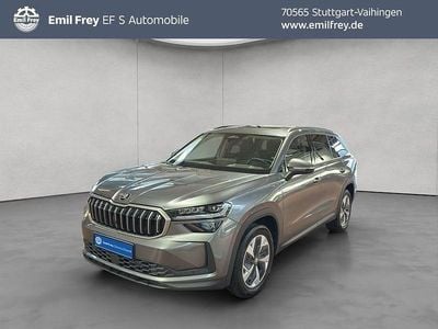 Grau Gebraucht 2024 Skoda Kodiaq Selection SUV | 40.890 € (Guter Preis)