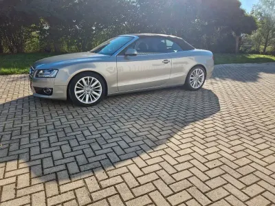 Gebraucht Audi A5 Cabriolet Sport 211 PS (155 kW) 2010 Cabrio