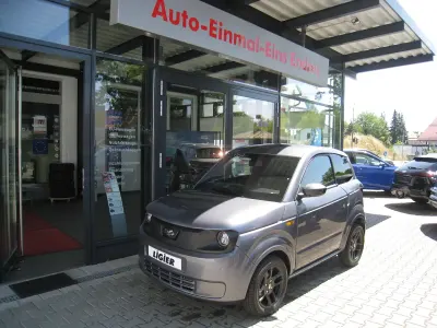 Neu Ligier Myli 2026 Graphitgrau metallic Kleinwagen