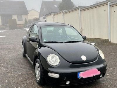 VW Beetle