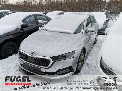 Gebraucht Skoda Octavia 2021 Grau