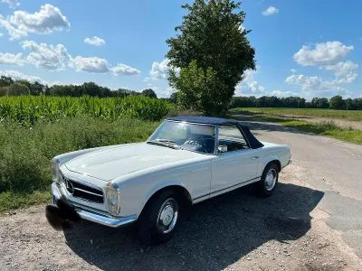 Gebraucht Mercedes 230 150 PS (110 kW) 1964 Weiß Cabrio