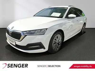 Gebraucht Skoda Octavia Tour 150 PS (110 kW) 2023 Moonweiß perleffekt Kombi
