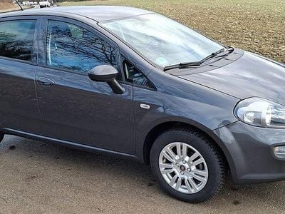 Gebraucht Fiat Punto Lounge 69 PS (50 kW) 2016 Grau Kleinwagen
