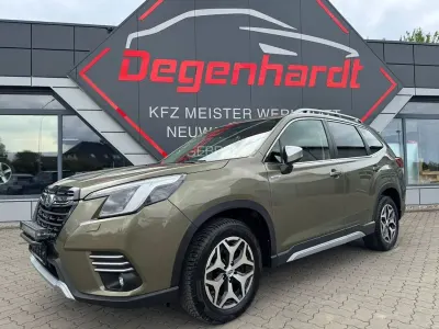 Gebraucht Subaru Forester Comfort 150 PS (110 kW) 2023 Grün SUV