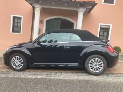 VW Beetle