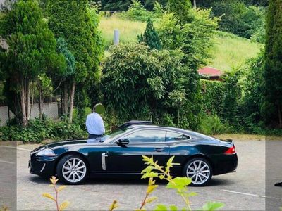 Jaguar XK