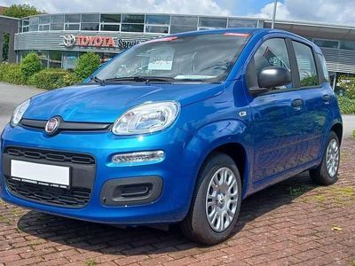 Neu Fiat Panda Icon 69 PS (50 kW) 2025 Blau Kleinwagen
